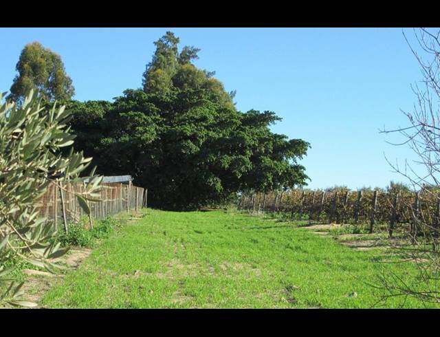 FARM FOR SALE IN WELLINGTON